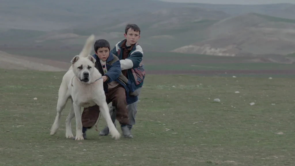 فيلم سيفاس (Sivas) – 2014